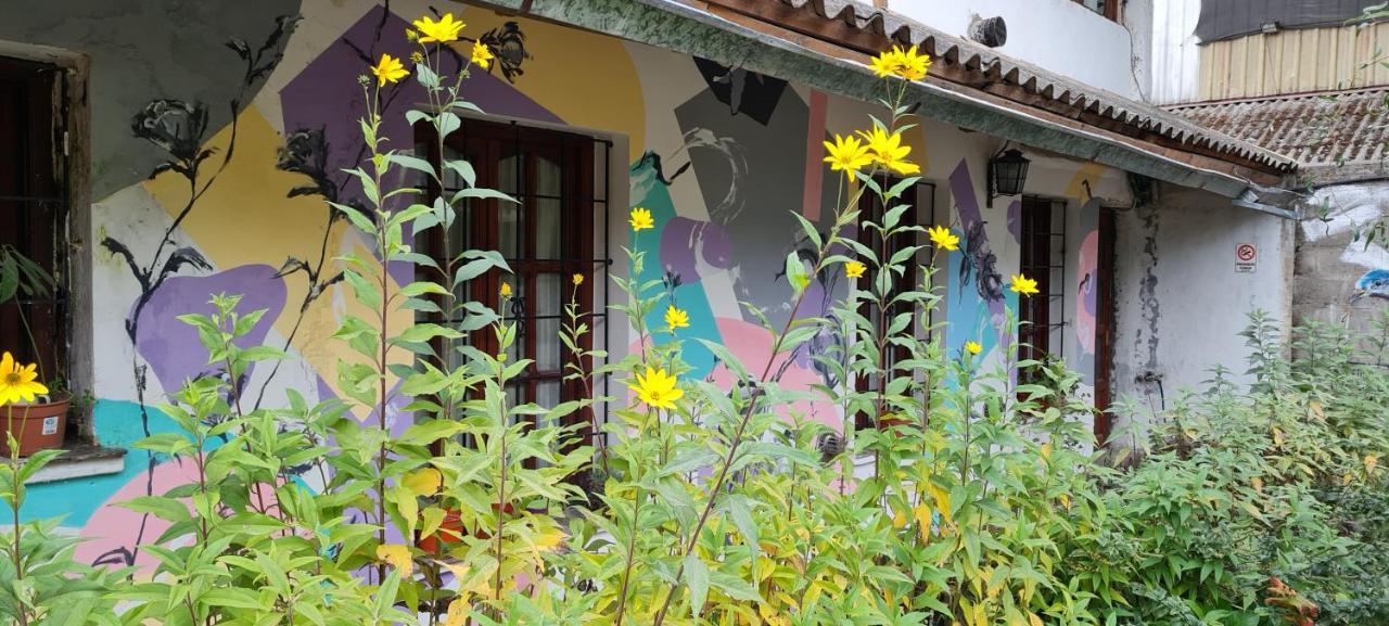 La Casa Del Arbol - Hostel El Bolsón المظهر الخارجي الصورة